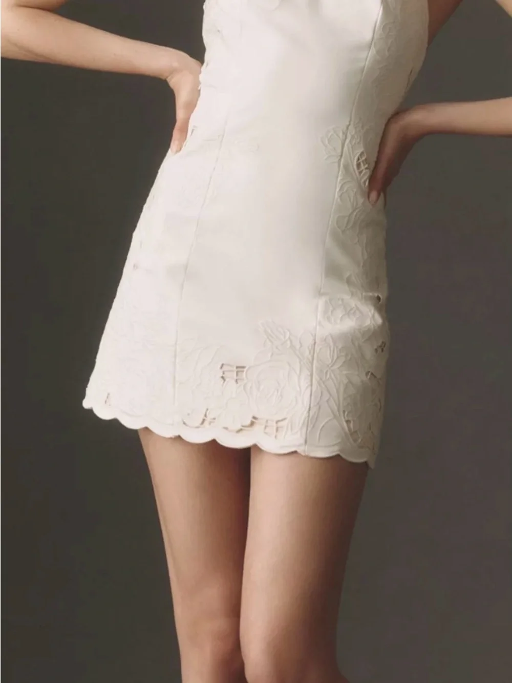 BHLDN Cutwork Mini Dress
